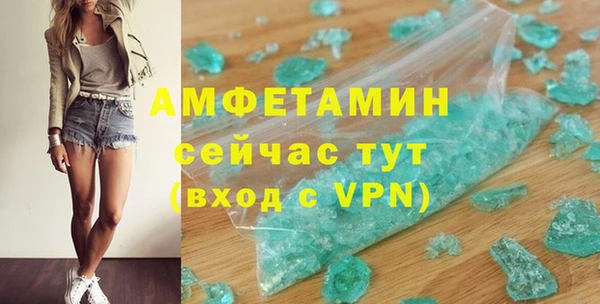 шишки Белоозёрский
