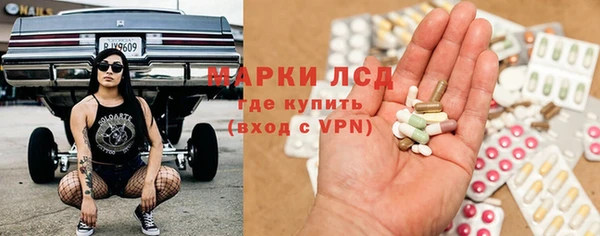 шишки Белоозёрский